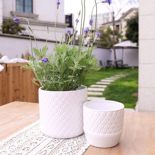 Set of 2, White Peacock Feather inspired Ceramic Planters, flowers