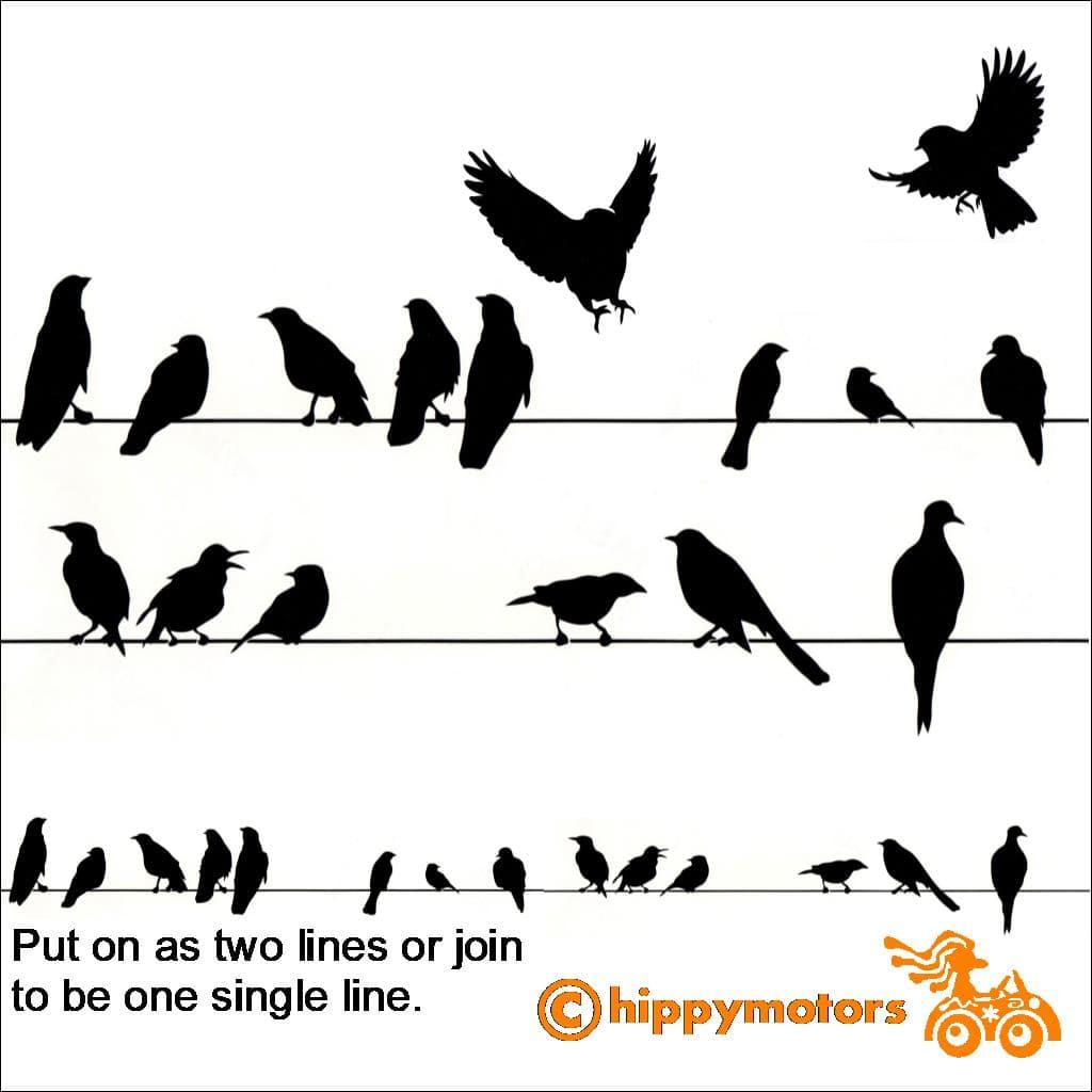 Birds on a wire decal for caravans and campervans