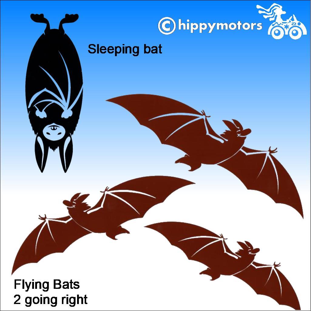Bat decal stickers for cars and camper vans