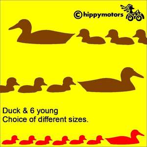 family of swimming ducks decal outlined