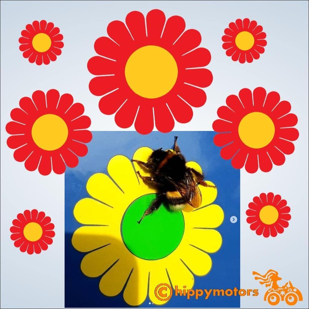 Gerbera daisy car decal stickers on car boot with bee