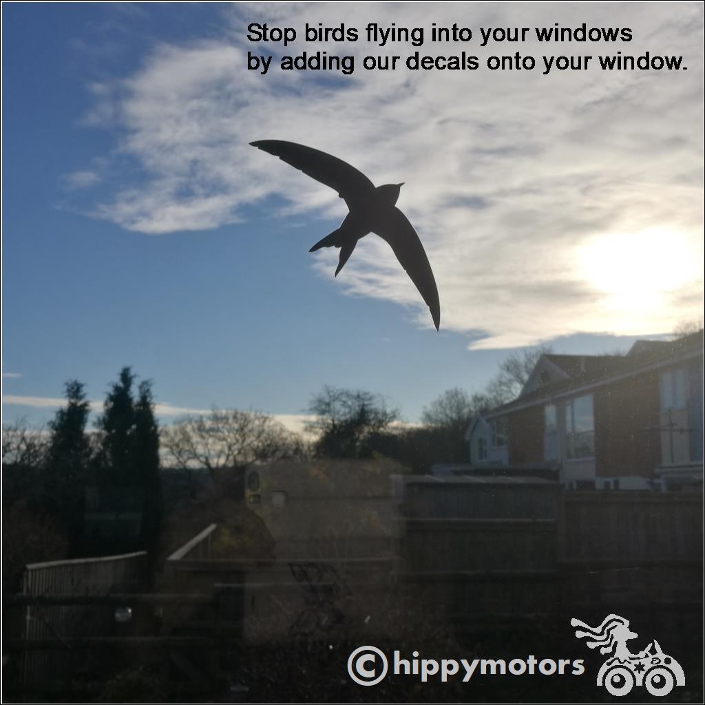 Bird sticker on window to stop birds flying into windows