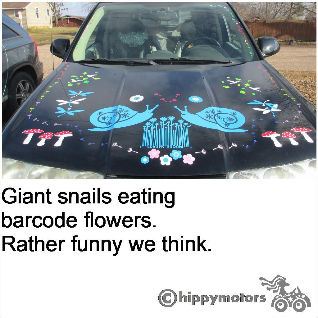 vinyl Snail decals on car bonnet