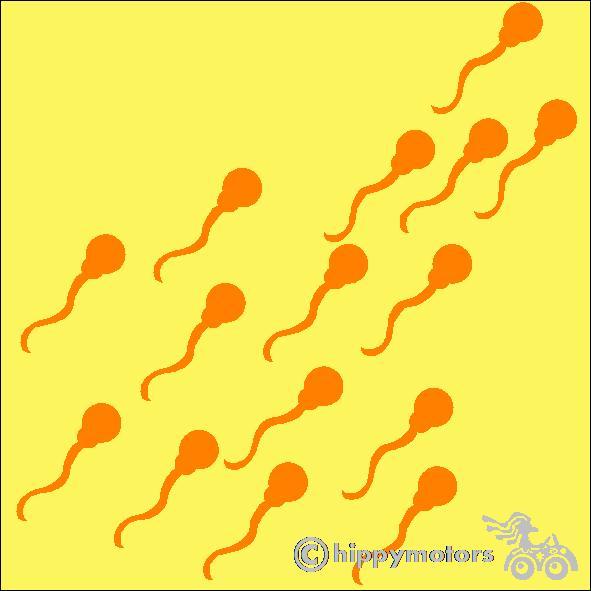 Sperm stickers for vehicles laptops walls windows
