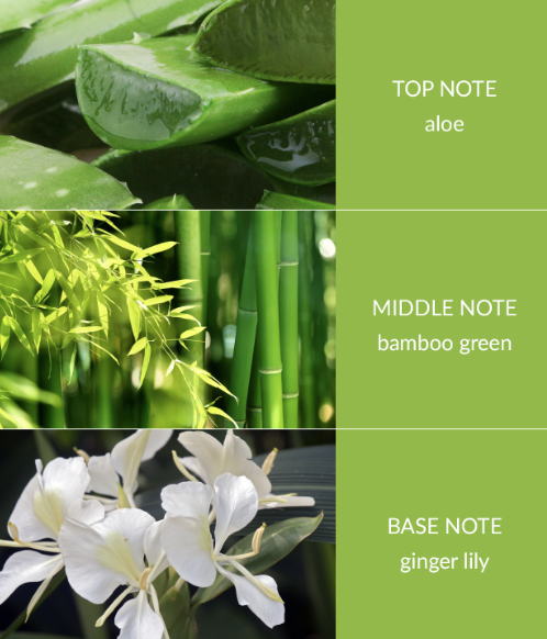 list of ingredients of the Eco-Friendly Candle in Bamboo & Ginger Lily