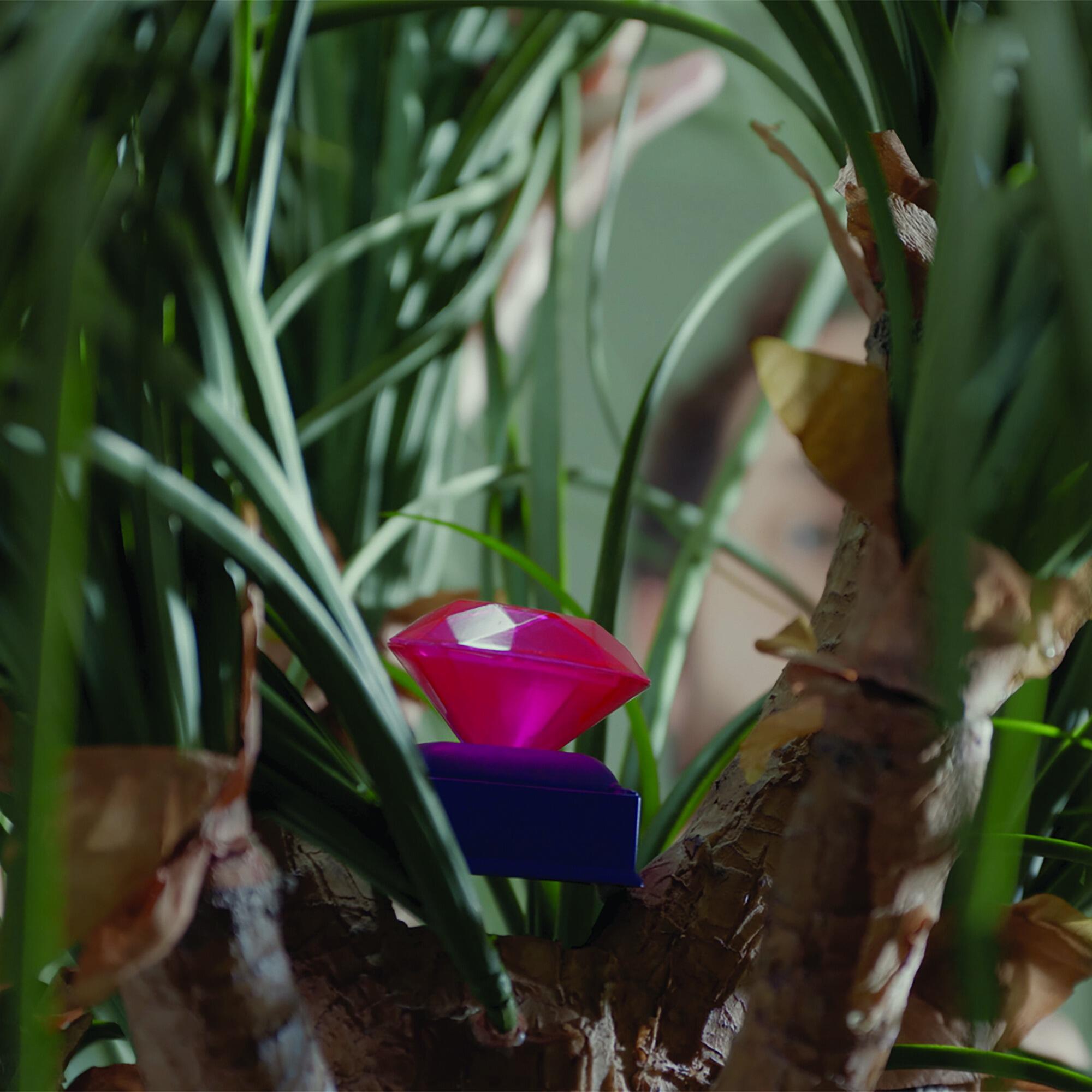 Beat the Camera Game