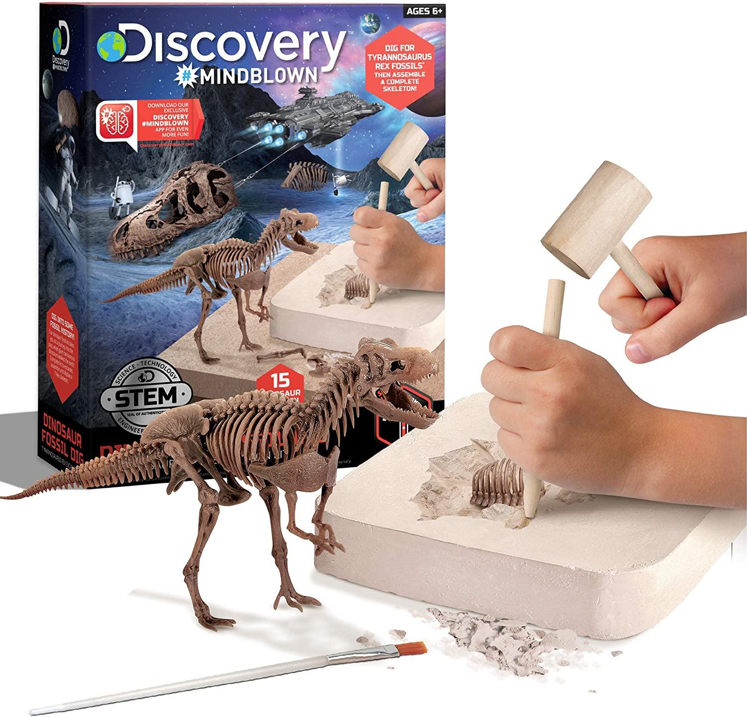 Discovery Dinosaur Fossil Dig img 1