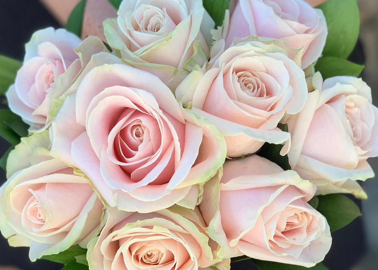 Bridesmaids Pink Rose Bouquet