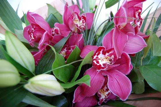 Red 'Love Orchid' and Scented Lily Bouquet