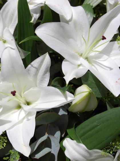 White Lily Casket Double Ended Spray