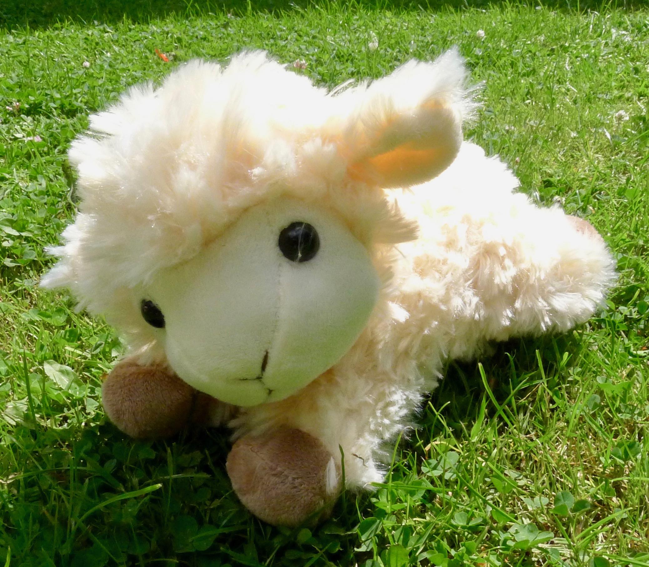 toy Lambs