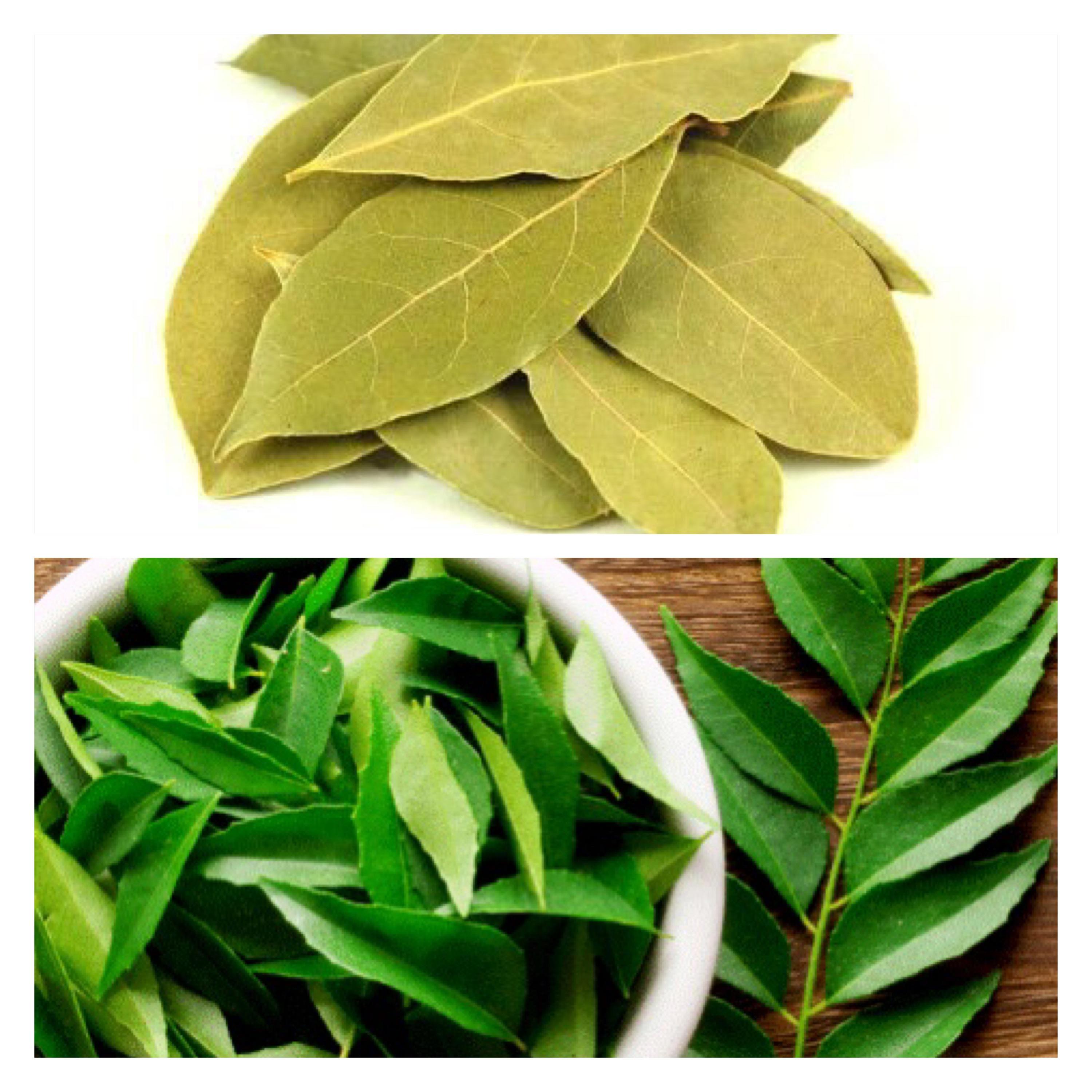 Curry Leaves & Bay Leaves