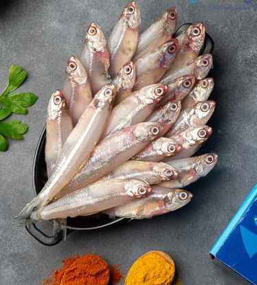 Anchovy
