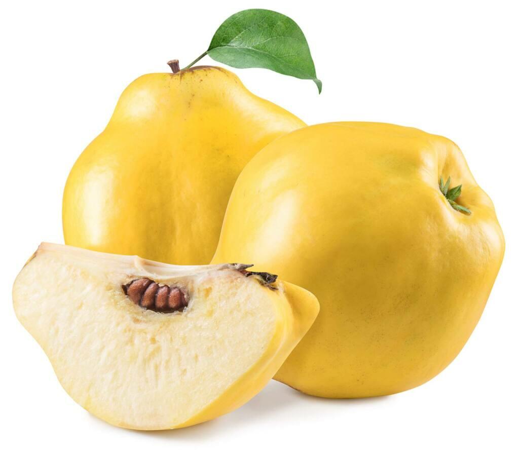 Quince Pear 1 Piece