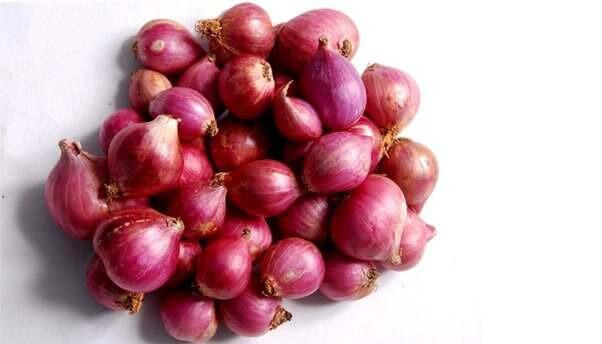 Small red hot sale onion