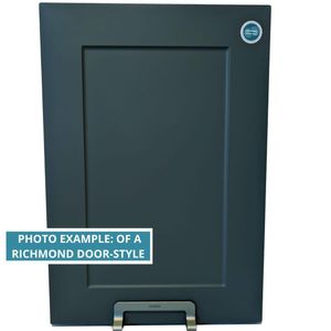 PHOTO EXAMPLE: OF A RICHMOND DOOR-STYLE