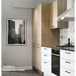 EXAMPLE OF PLAIN TALL END PANEL FOR HOUSING CABINETS