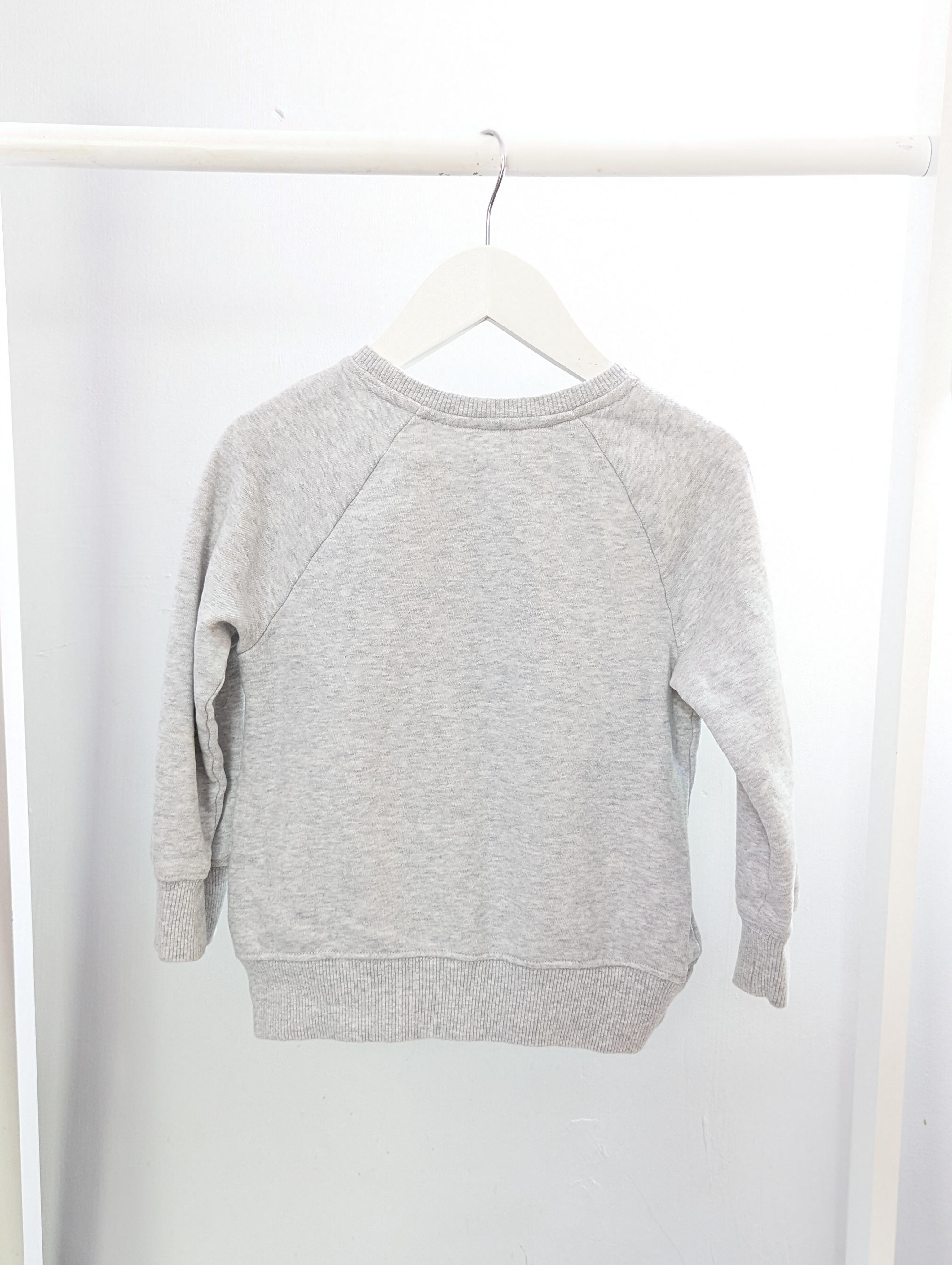 Pug clearance jumper h&m