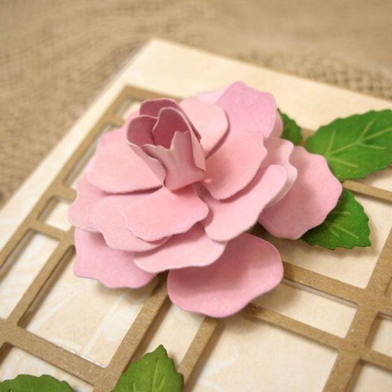 Dimens Roses Moonstone Dies - Dimensional Flowers - Rose