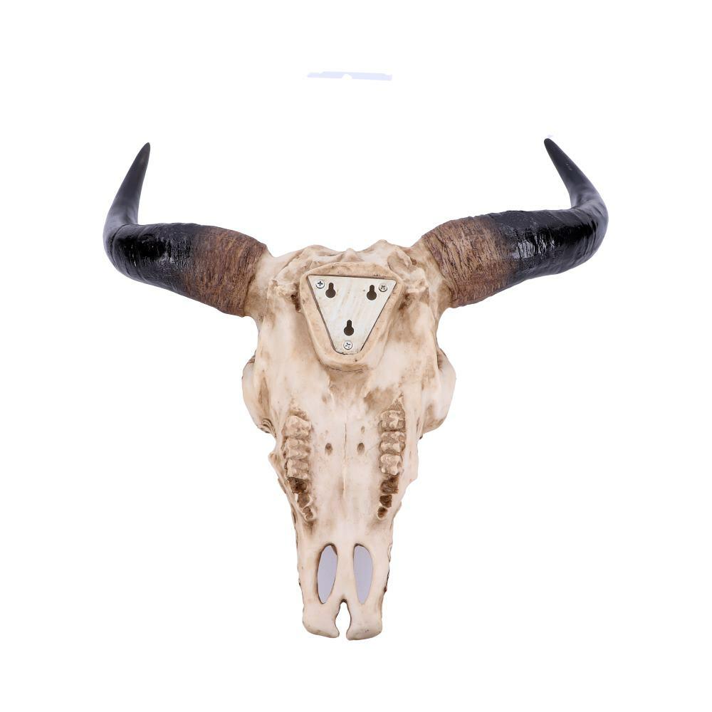 Second image for Mythical Markings Carved Dragon Animal Skull