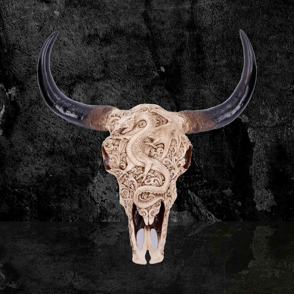 Third image for Mythical Markings Carved Dragon Animal Skull
