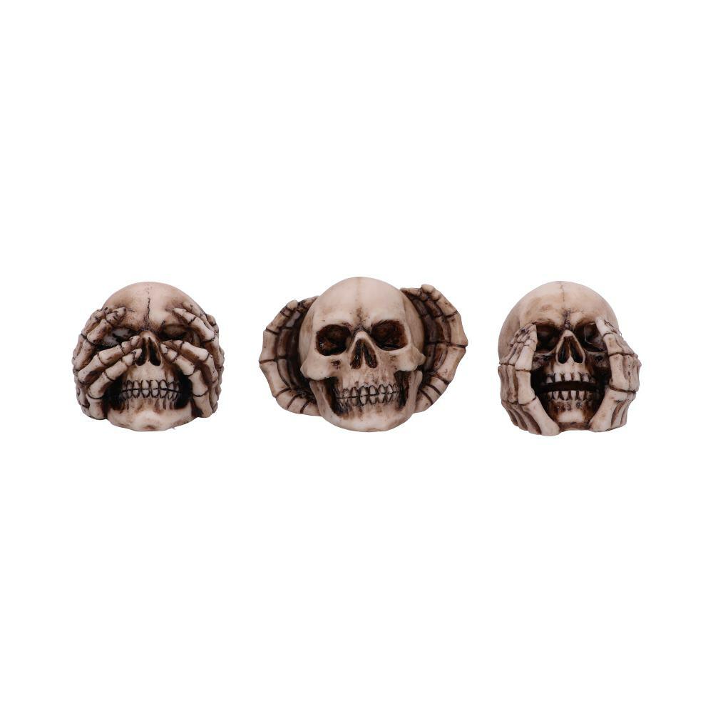 Fourth image for Three Wise Skulls 7.6cm