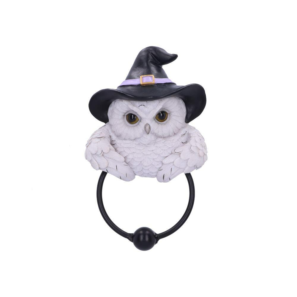 First image for Snowy Owl Magic Door Knocker 21cm