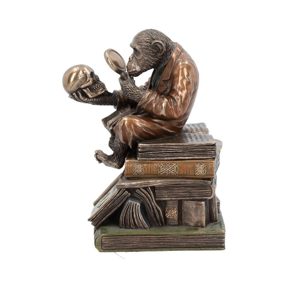 Second image for Darwinism of Evolutionary Theory Figurine Charles Darwin Chimpanzee Ornament