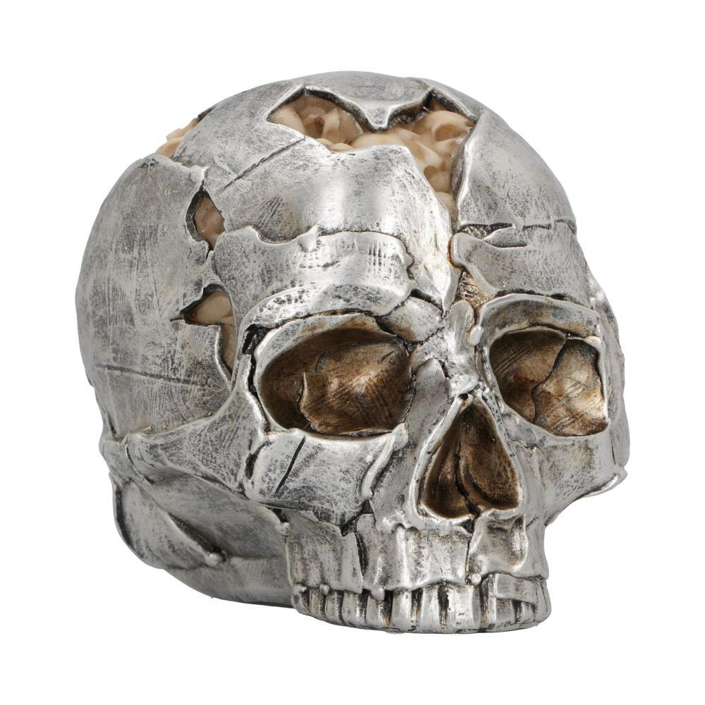 First image for Large Alternative Fracture Skull 16cm
