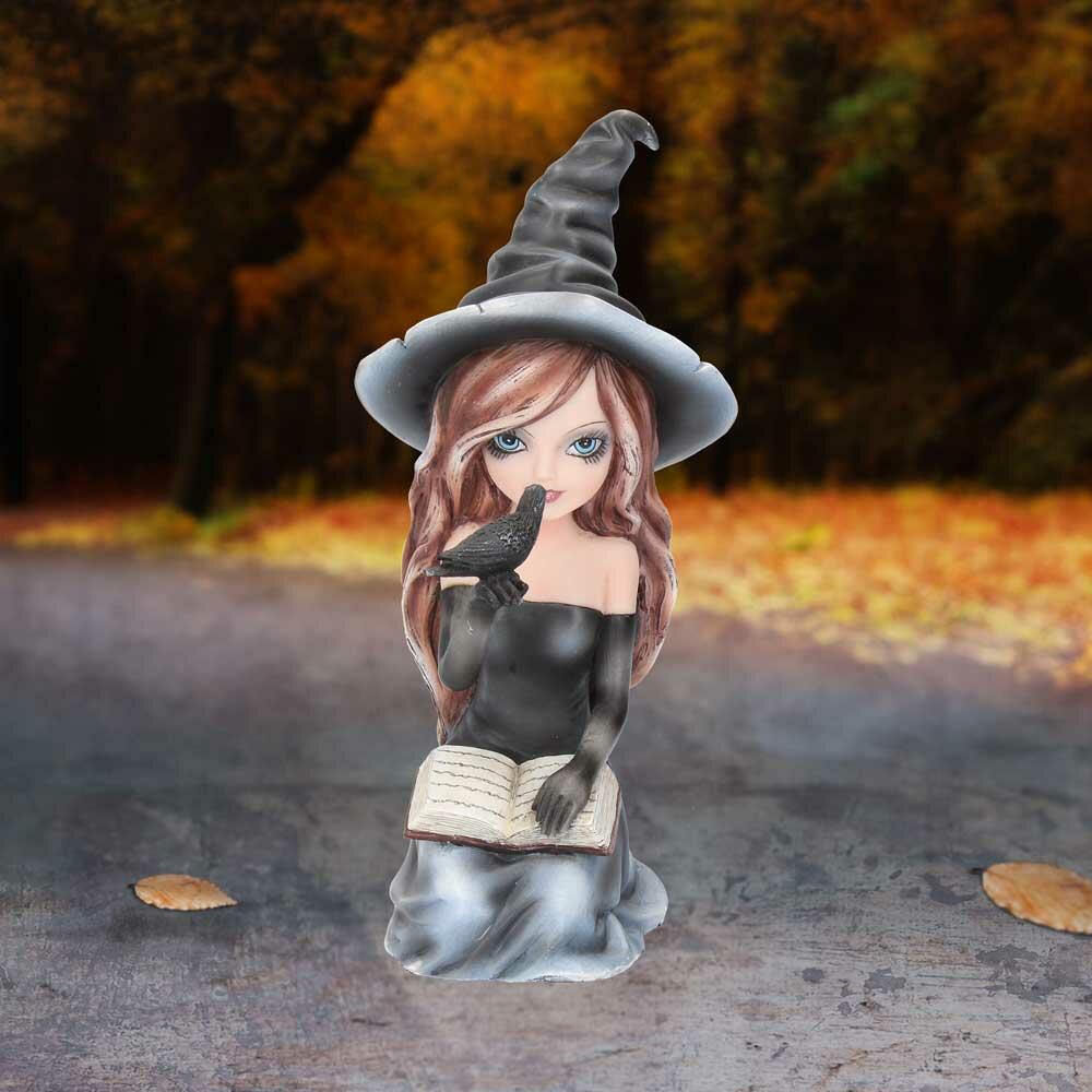 Fifth image for Regan Witch & Her Raven Figurine 15cm