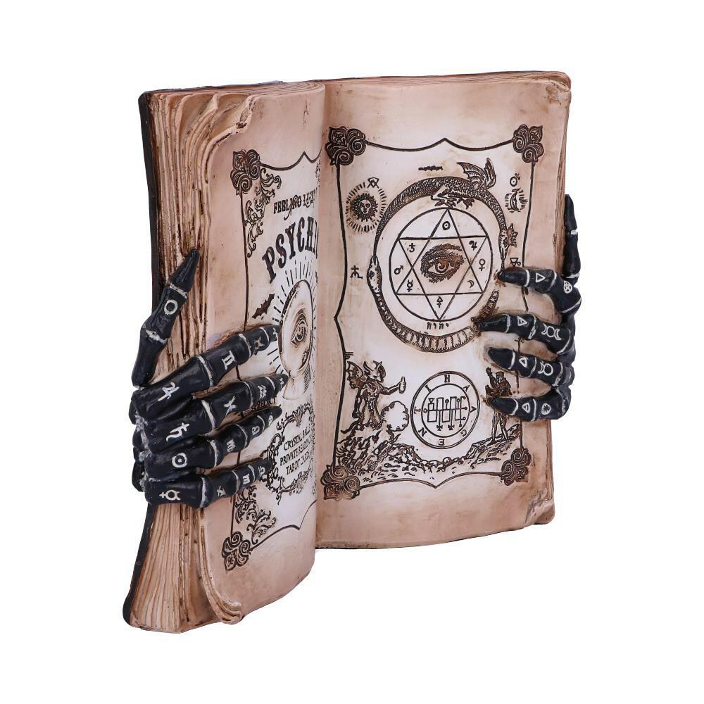 Fourth image for Psychic Compendium Palmists Grimoire Figurine