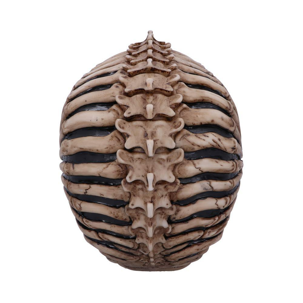 Fourth image for Officially Licensed James Ryman Spine Head Skull Skeleton Ornament