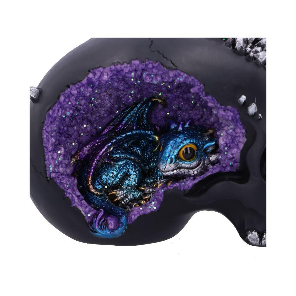 Second image for Crystal Cave Small Dragon Hiding within a Crystal Skull