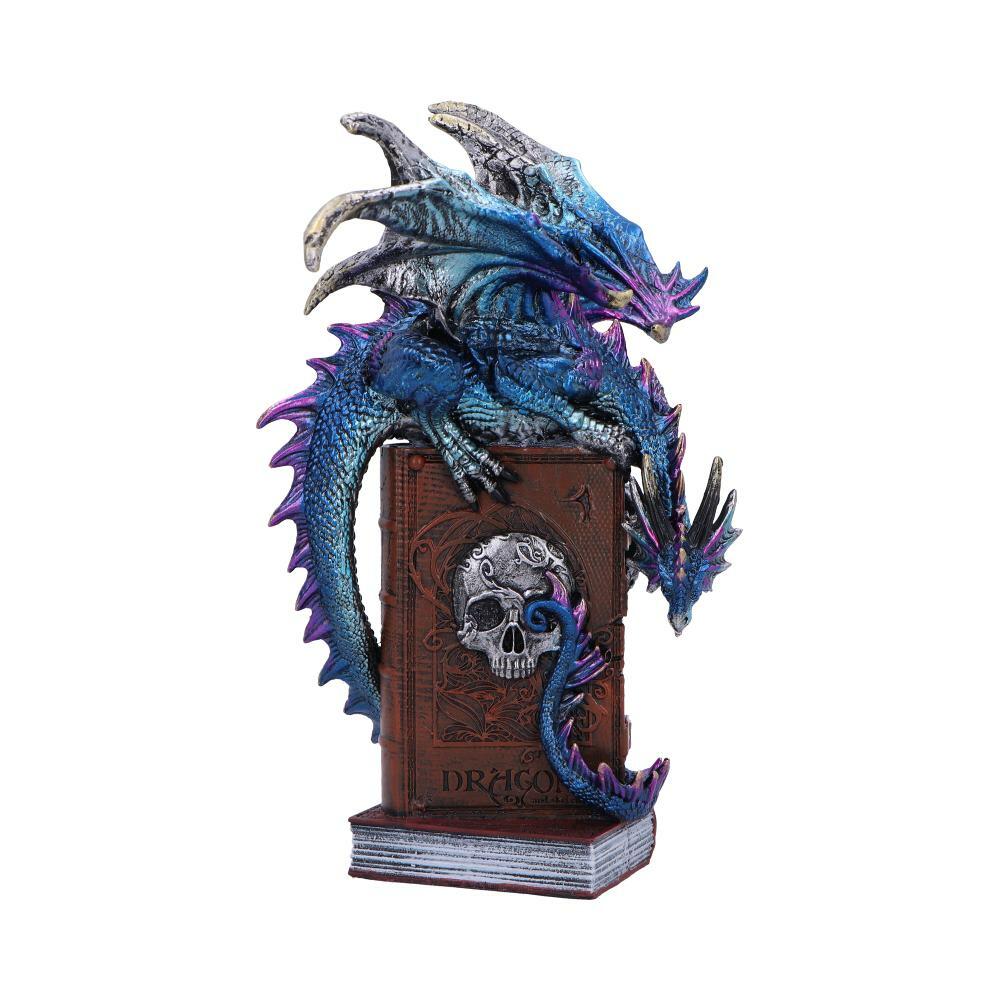First image for A Tale of Dragons Skull Book Figurine 22cm