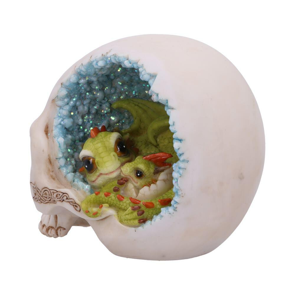 Second image for Celtic Cave Skull 15cm