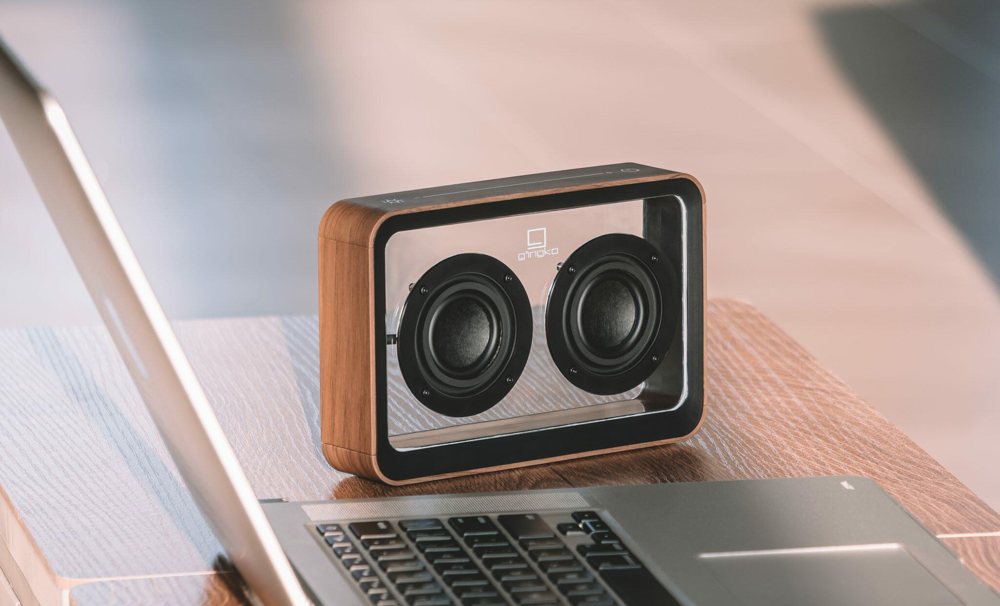Second image for the Walnut Mage See-Through Bluetooth Speaker