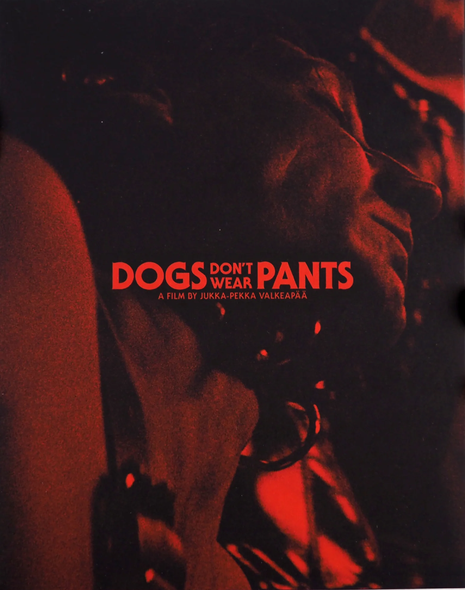 Shop DOGS DON'T WEAR PANTS - Dick Smith