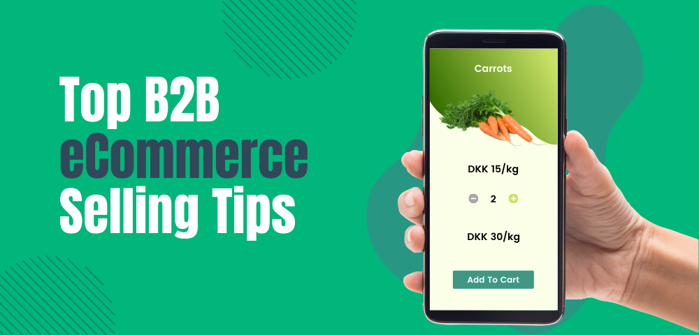 Top B2B eCommerce Selling Tips