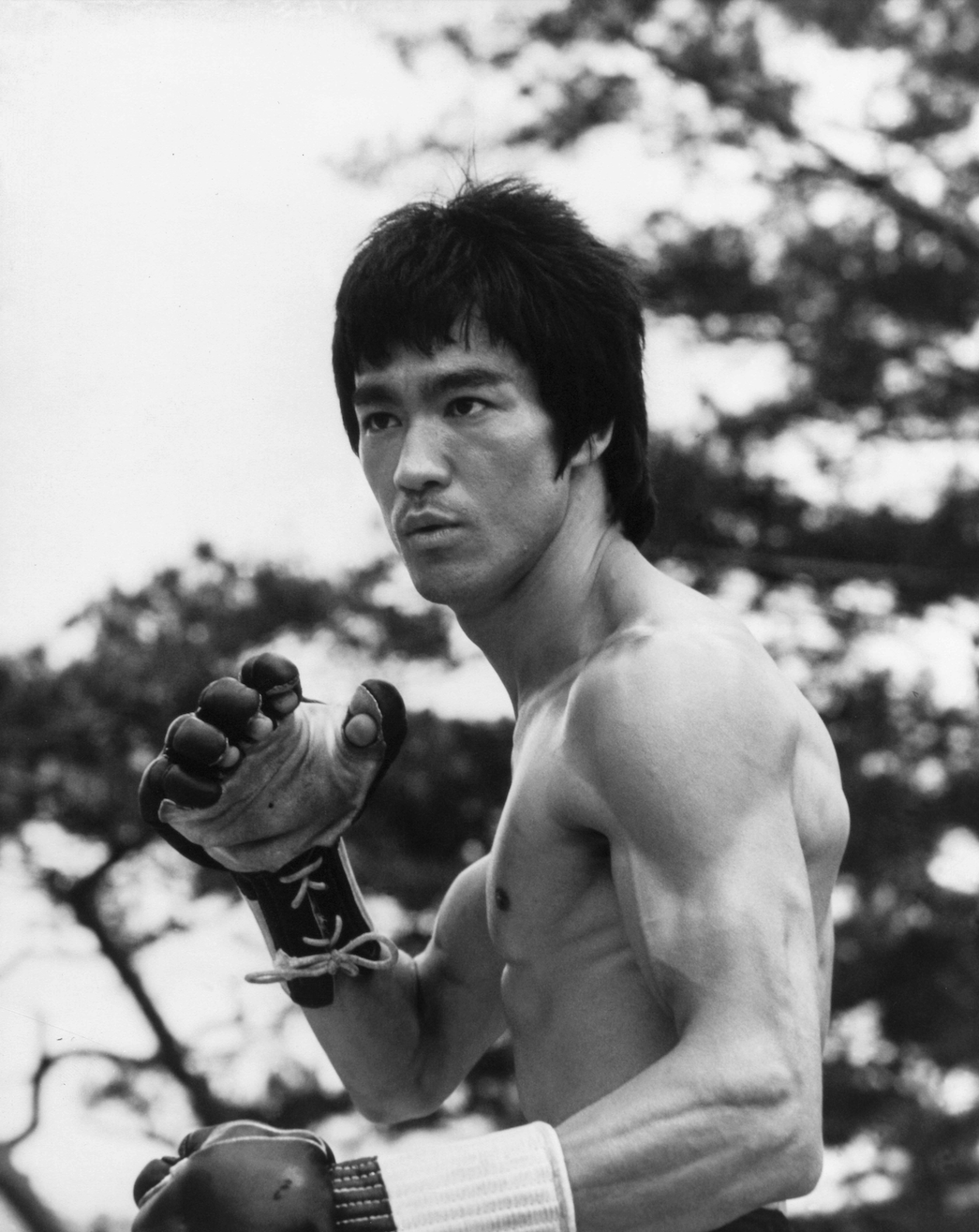 Image of Bruce Lee in martial arts stance with fighting mitts on 