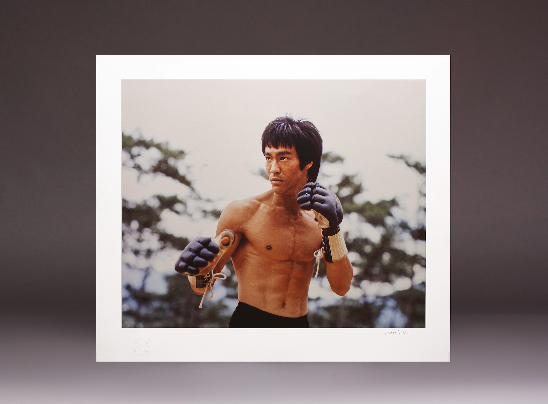 A unique and breathtaking fine art print of the legendary Bruce Lee from his groundbreaking opening fight sequence in Enter the Dragon (1973). 