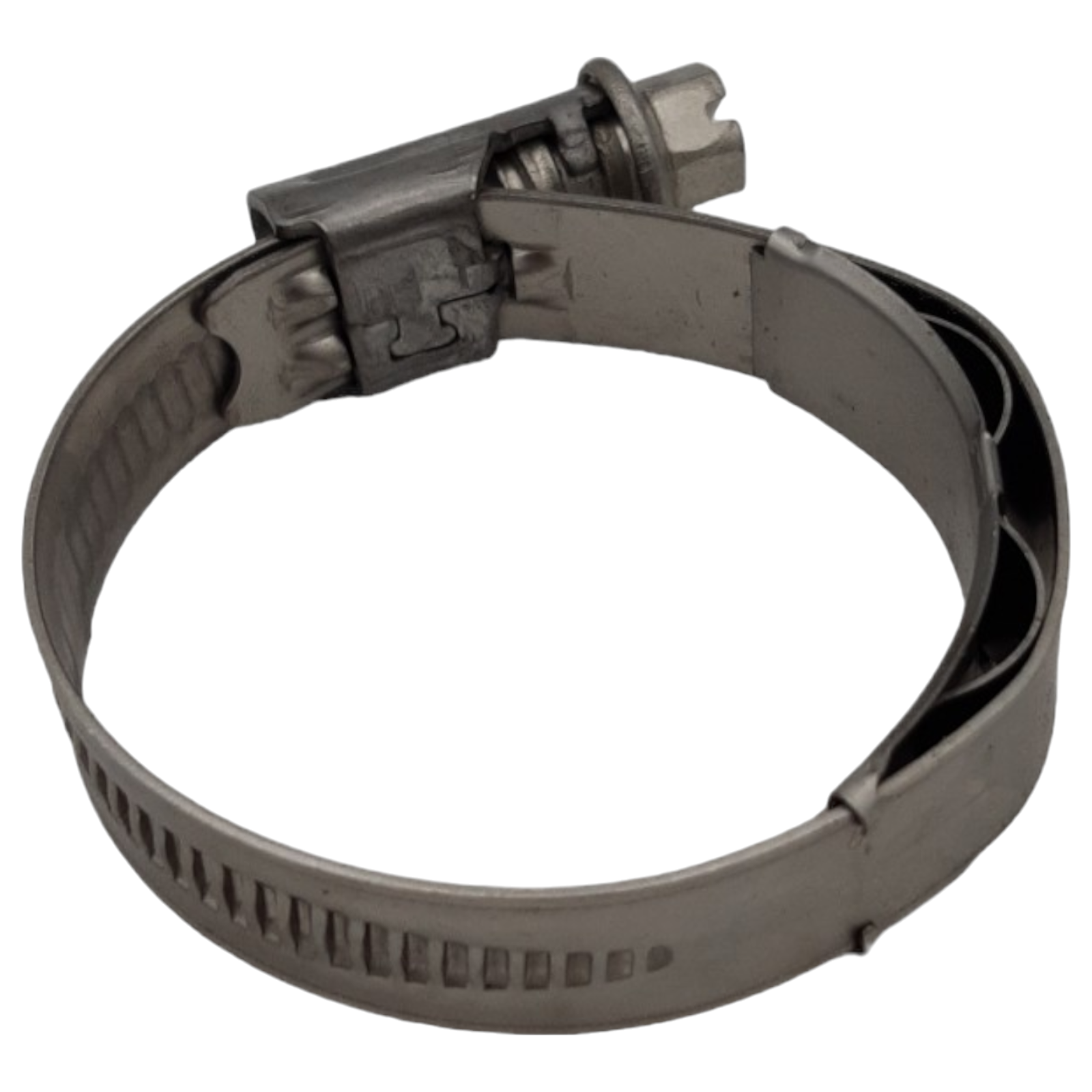 Genuine DAF Hose Clamp — part number 1876819