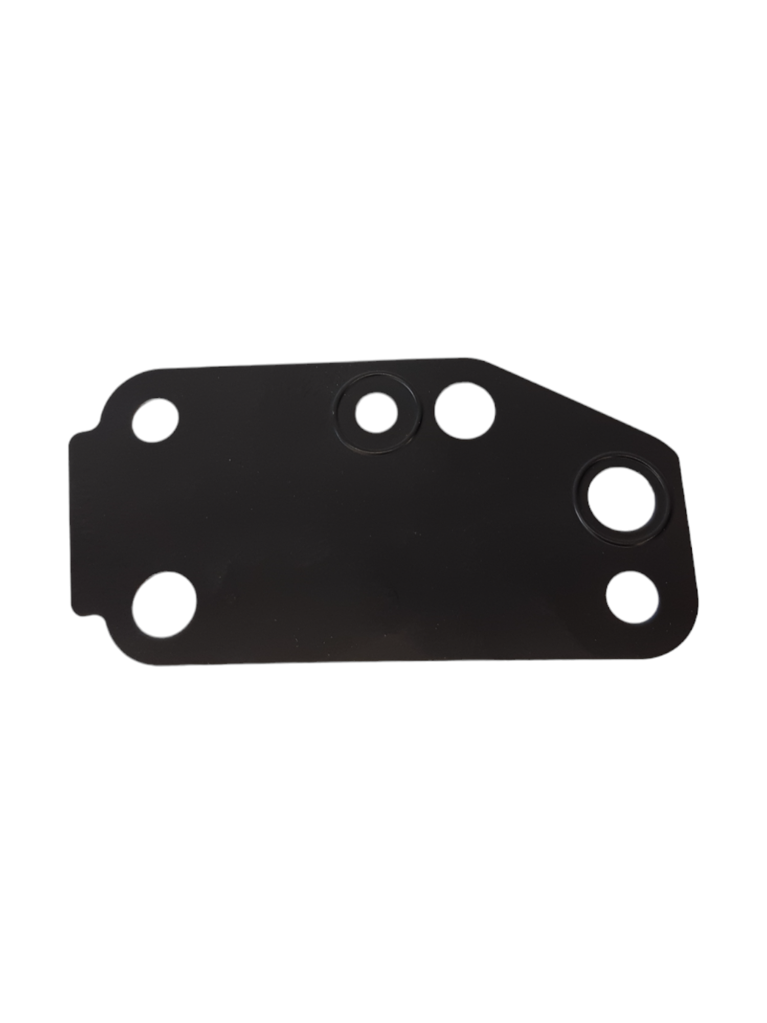 Genuine Ford Transit (TT9) Water pump gasket 1096559