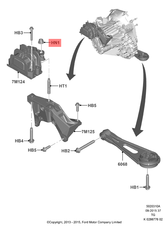 Ford Transit Tourneo Custom TTF | Nut | 1853325 | GFN Parts