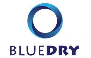 Blue Dry Hand Dryers Logo