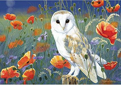 An intricately designed puzzle box showcasing an owl and colorful poppies, named "Otter House Watching & Waiting."