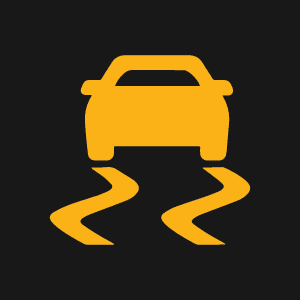 symbol-traction-control-light.png