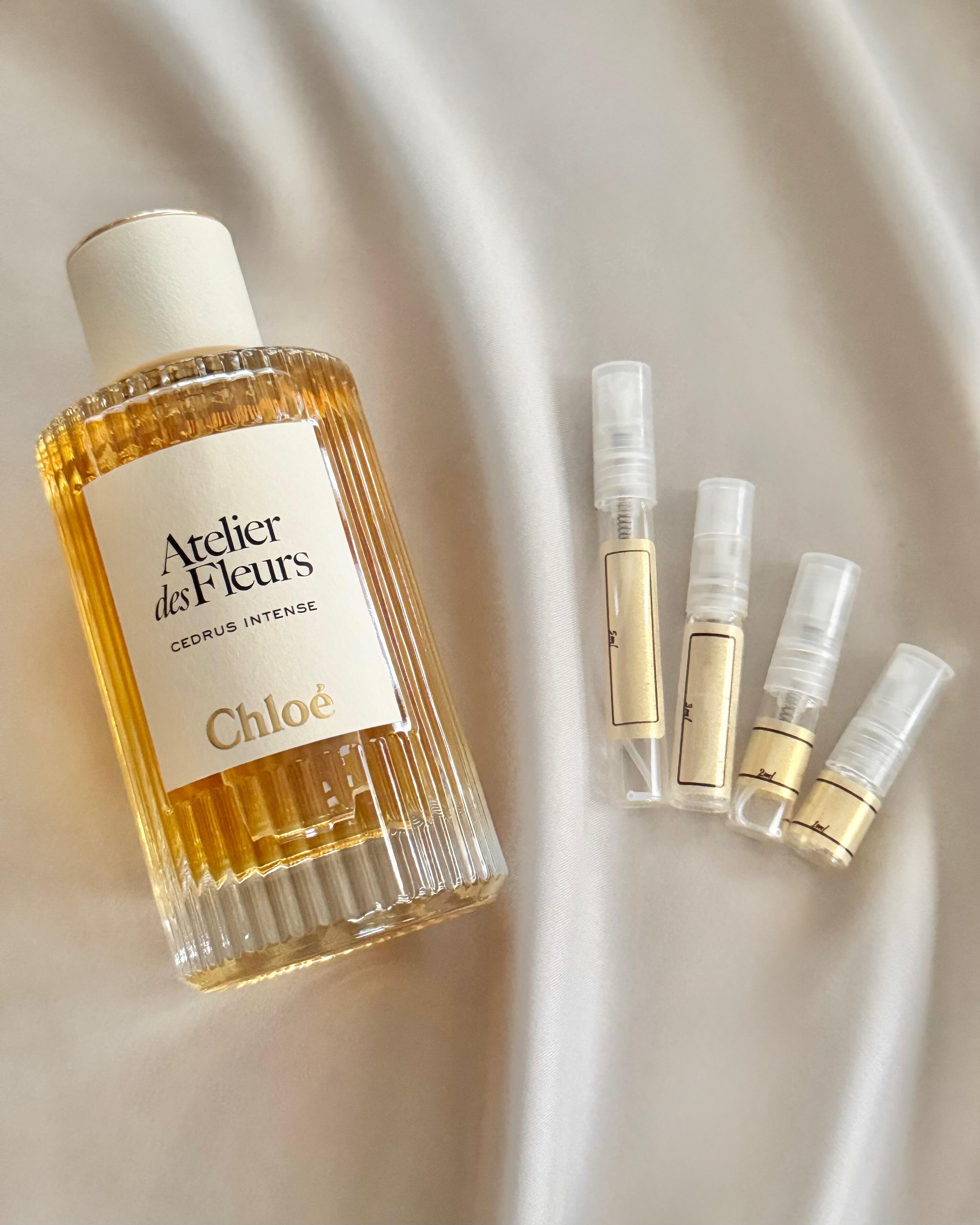 Chloe | Cedrus Intense | Fragrance Samples