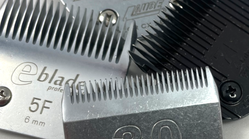 Clipper Blade Category Image