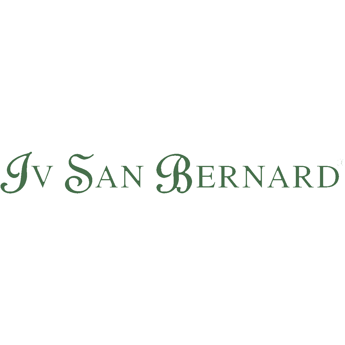 IV San Bernard Logo