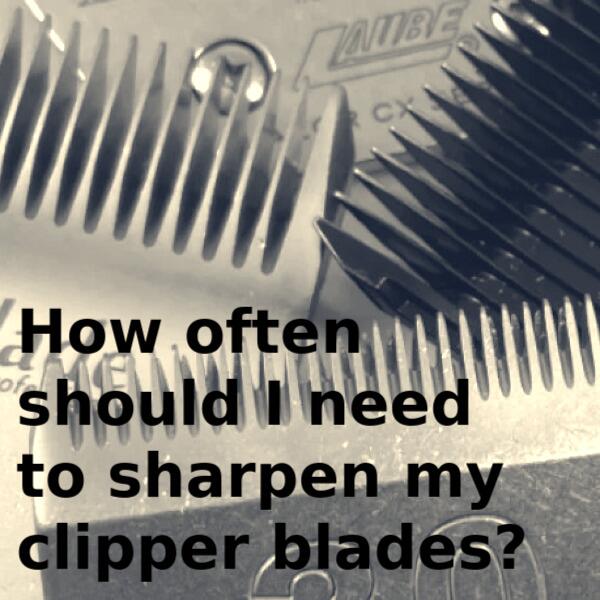 How to Sharpen Hair Clipper Blades